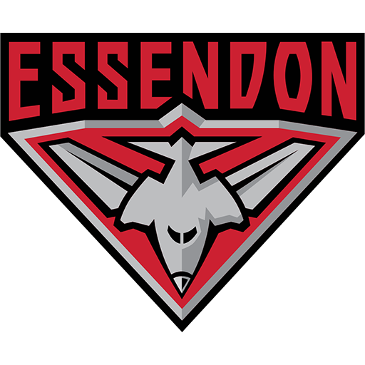 Essendon Bombers badge