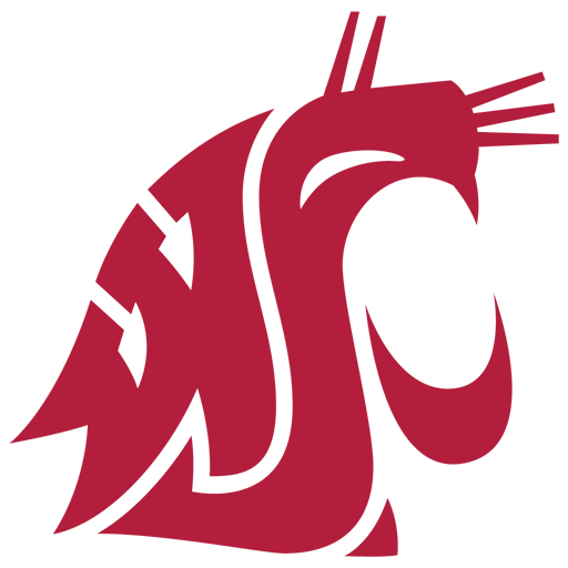 Washington State badge