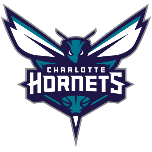 Charlotte Hornets badge