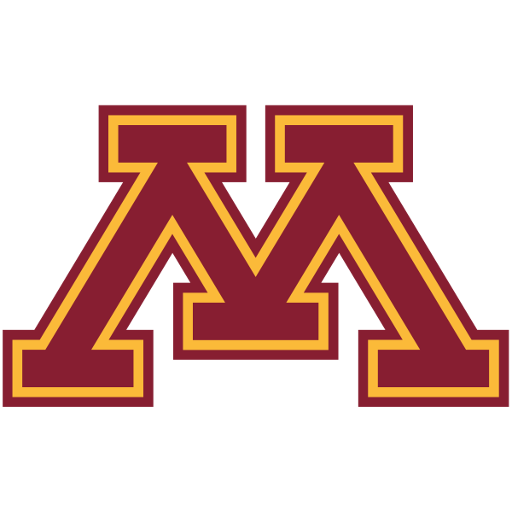 Minnesota badge