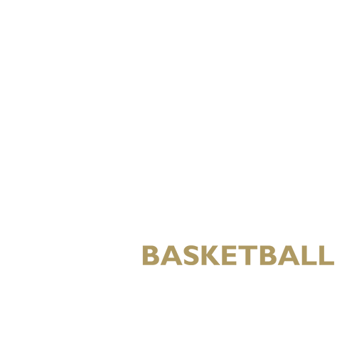 Newcastle Eagles badge