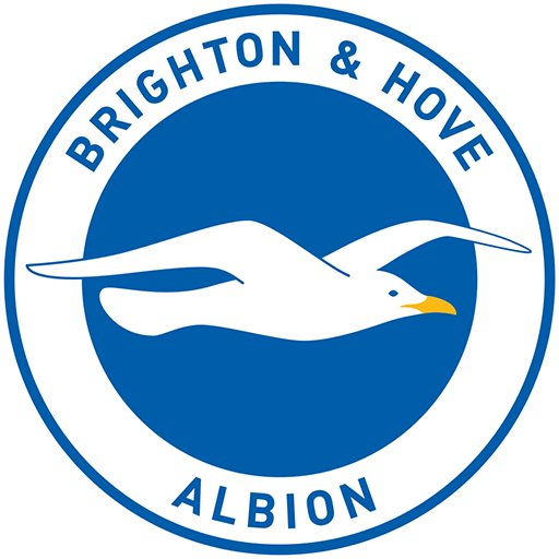 Brighton WFC badge