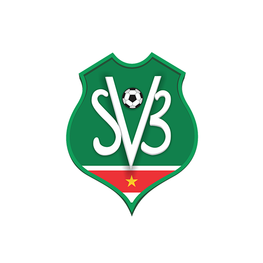 Suriname badge