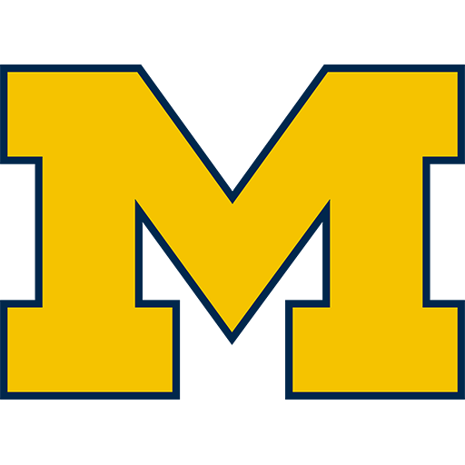 Michigan badge