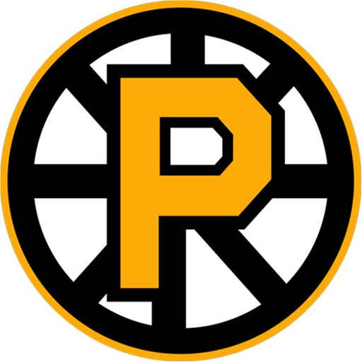 Providence Bruins badge