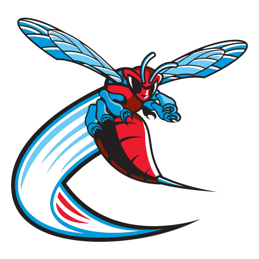 Delaware State badge