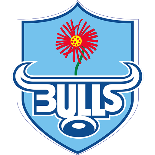 Bulls badge