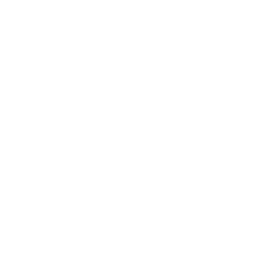 Stormers badge