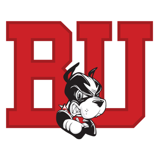 Boston University badge